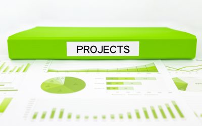 Project Manager