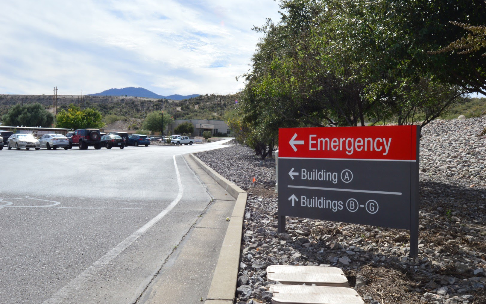 Exterior post-and-panel sign directing drivers to emergency services and hospital buildings