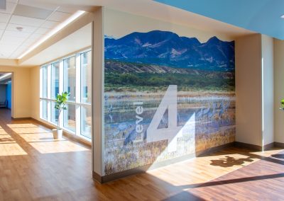 Presbyterian Hospital Tower Level 4 Custom Wallcovering Wallpaper
